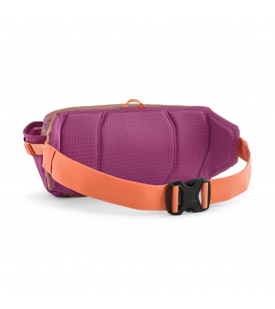 Чантичка Patagonia Black Hole Waist Pack 5L