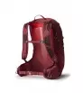 Раница Gregory Maya 25L W's