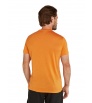 Тениска Icebreaker Men's Merino Blend 125 Cool-Lite Sphere SS Tee