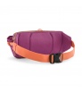 Чантичка Patagonia Black Hole Waist Pack 5L