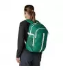 Раница Patagonia Refugio Daypack 26L