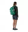 Раница Patagonia Refugio Daypack 26L