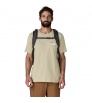Раница Patagonia Refugio Daypack 32L